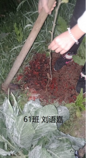 衡陽(yáng)市蒸湘區(qū)仁愛(ài)實(shí)驗(yàn)中學(xué)|衡陽(yáng)全日制|全寄宿|全封閉|半月假制初級(jí)中學(xué) 衡陽(yáng)市蒸湘區(qū)仁愛(ài)實(shí)驗(yàn)中學(xué)|衡陽(yáng)全日制|全寄宿|全封閉|半月假制初級(jí)中學(xué)